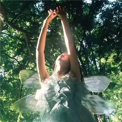 特兰济特集中营